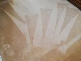 Carpet Cleaning Tips